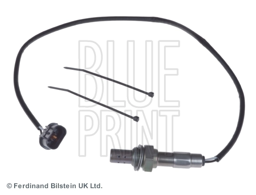 Oxygen Sensor